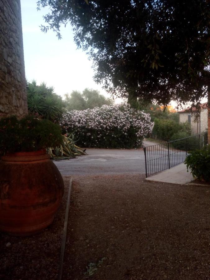 Case Cordovani Magliano in Toscana Exterior foto