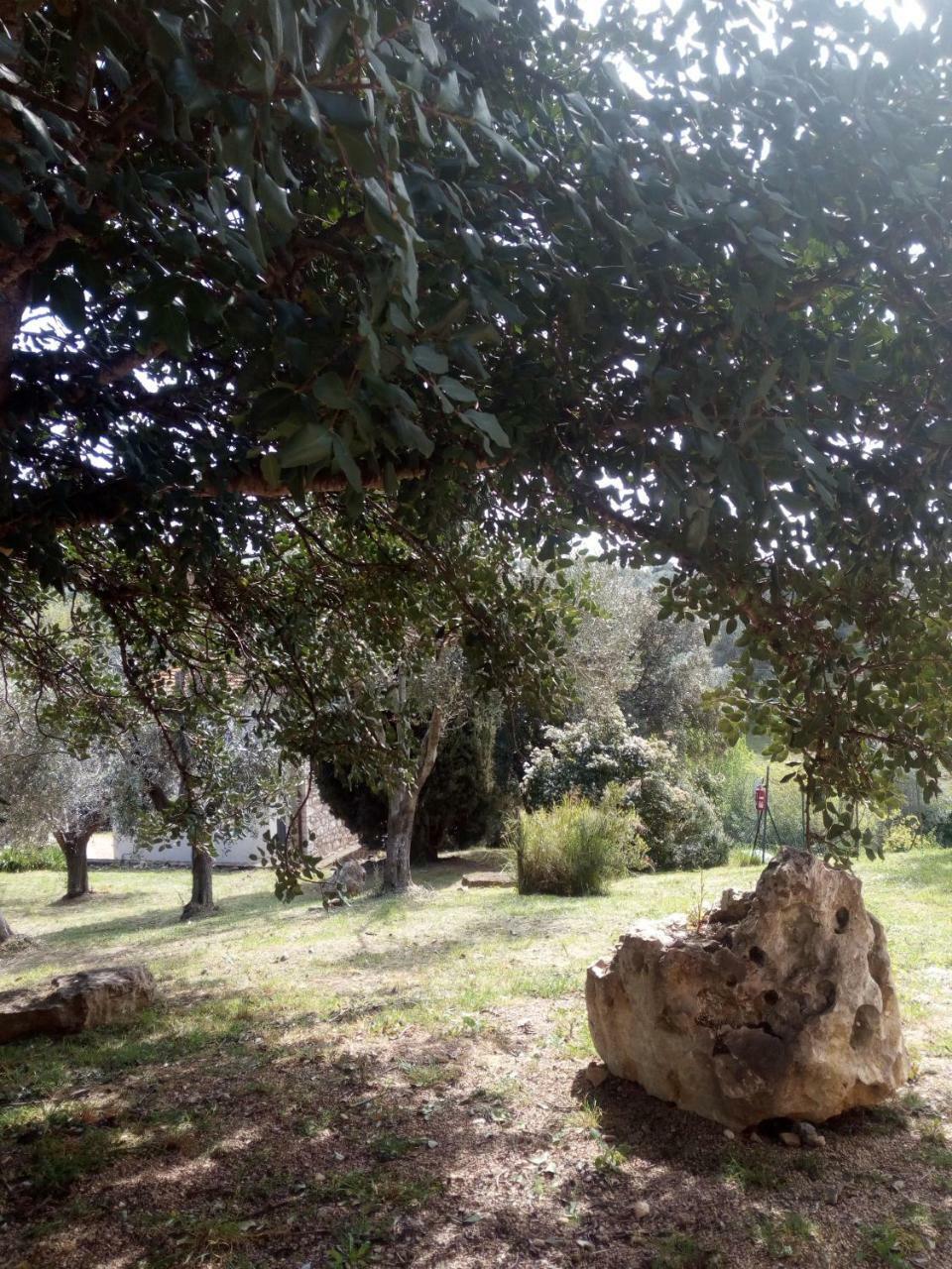 Case Cordovani Magliano in Toscana Exterior foto